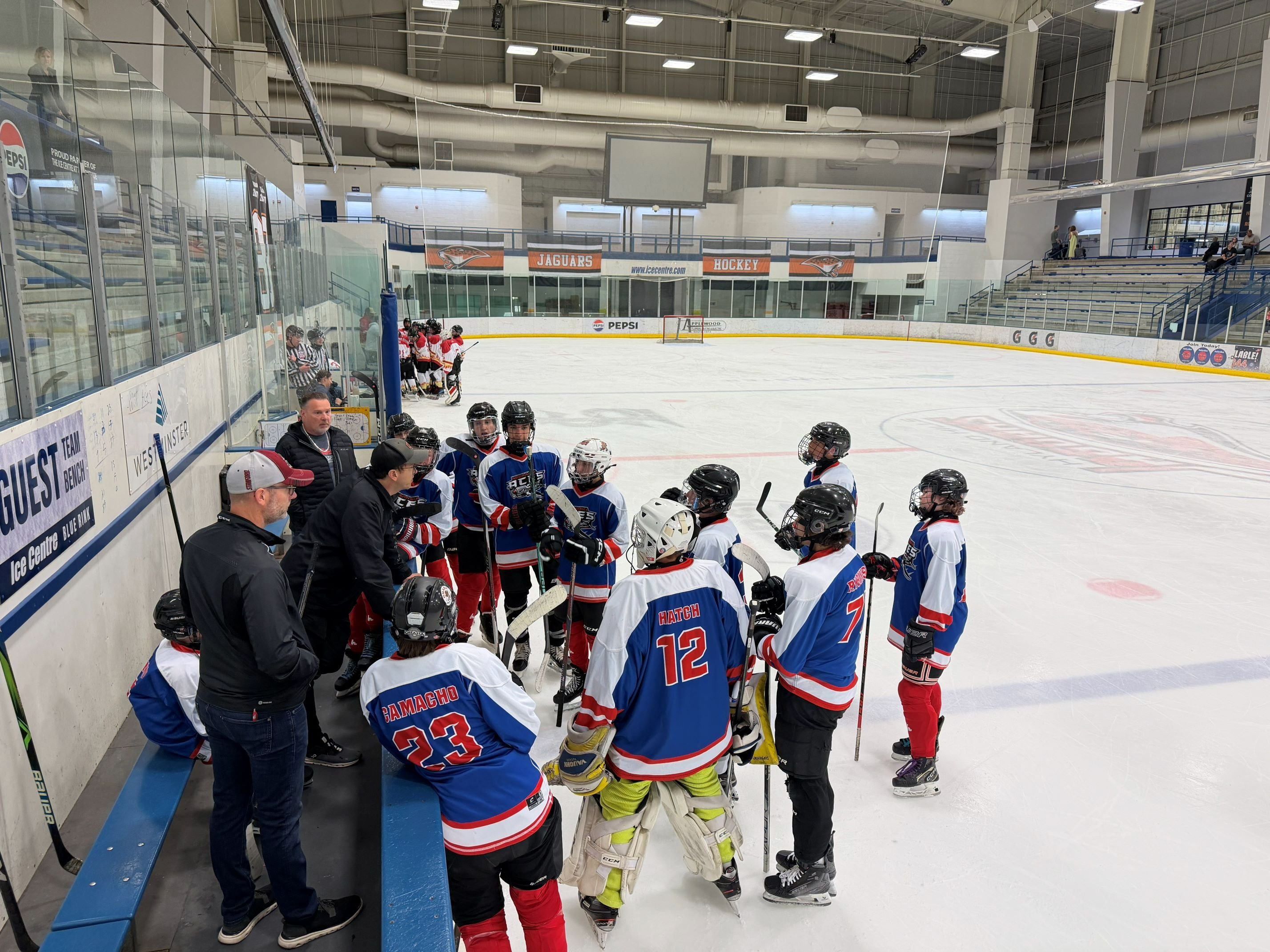 Bantams in Denver