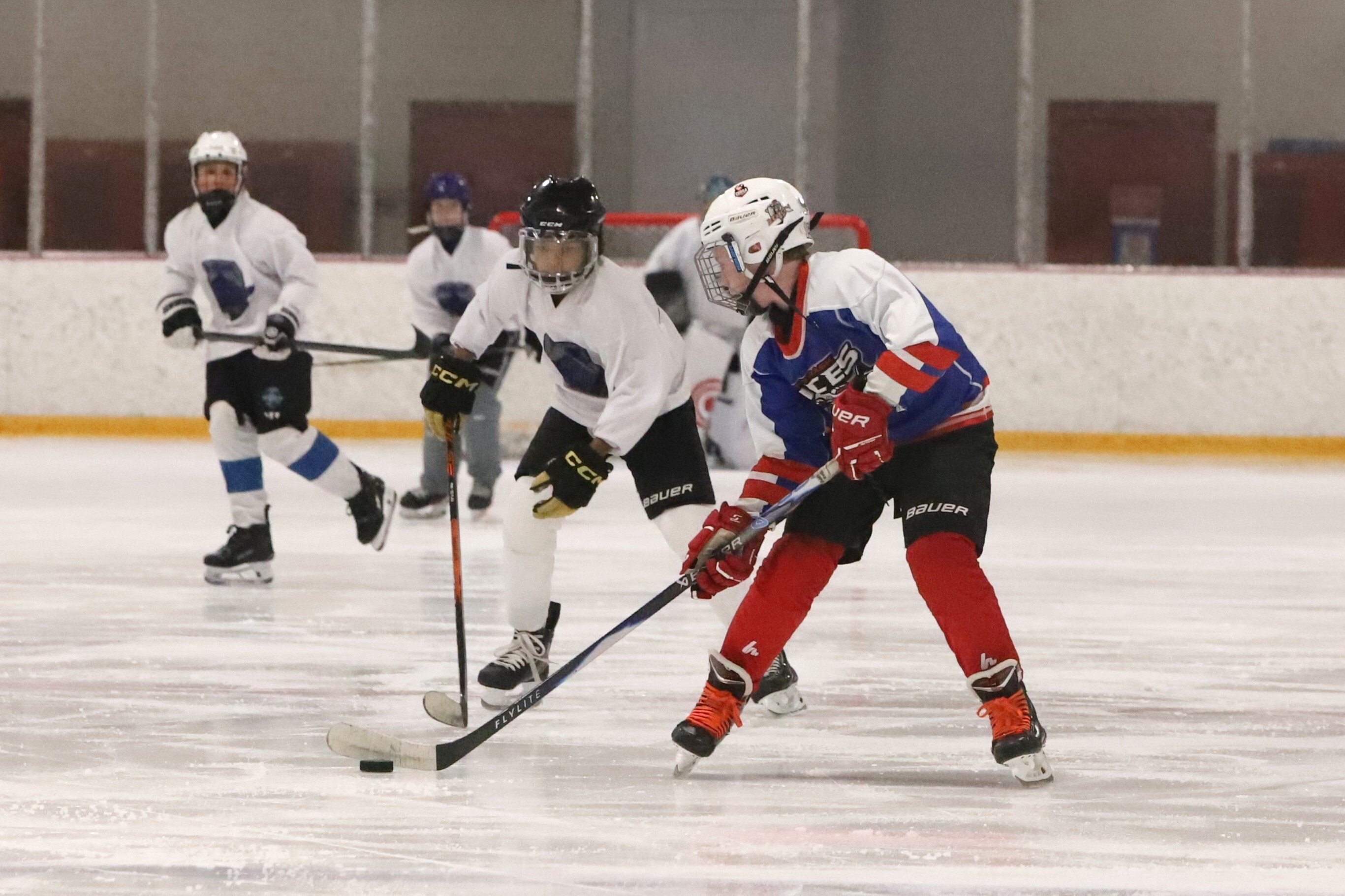 Peewees in Denver